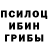 Галлюциногенные грибы мухоморы Pan1ker 77