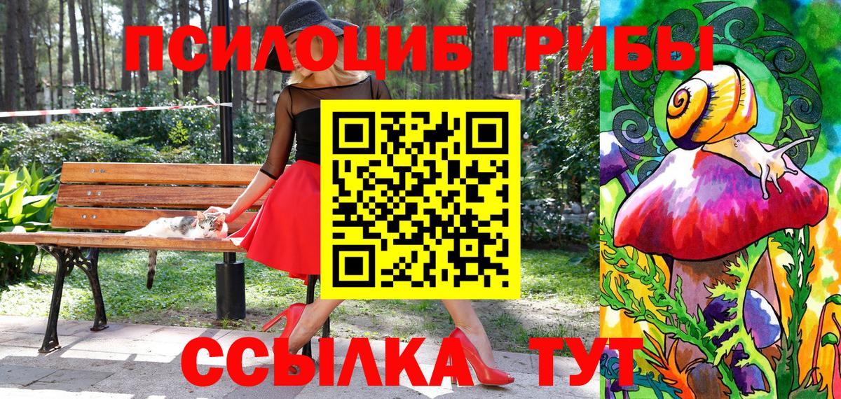 Галлюциногенные грибы мицелий Серпухов
