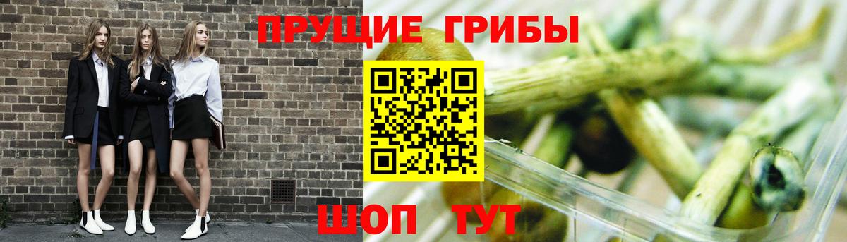 Псилоцибиновые грибы прущие грибы  Вход с VPN  Серпухов 